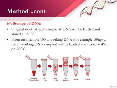 Can you get DNA from a drop of blood?