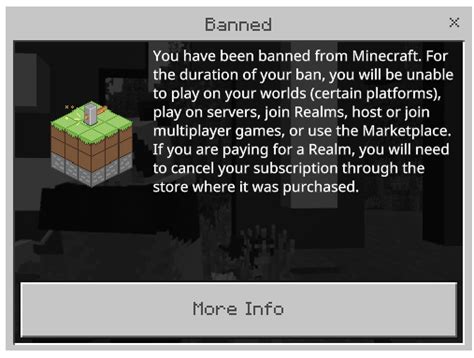 Can you get banned on a private server Minecraft?