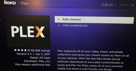 Can you get caught using Plex?