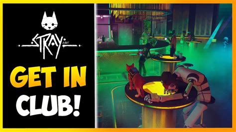 Can you get into the nightclub in Stray?