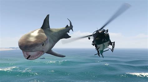 Can you get sharks in GTA?
