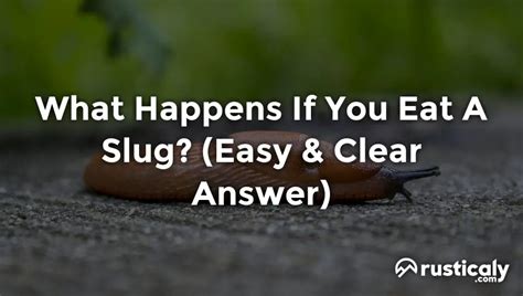 Can you get sick from eating slug slime?