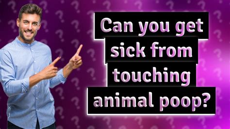 Can you get sick from touching animal bones?