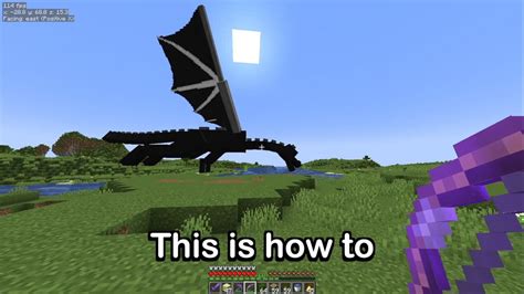 Can you get the Ender Dragon to the overworld?