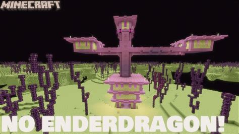 Can you get to the end city without killing the Ender Dragon?