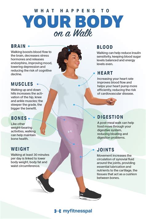 Can you get toned from walking?