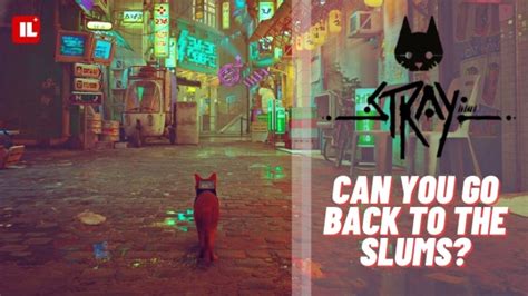 Can you go back to levels in Stray?