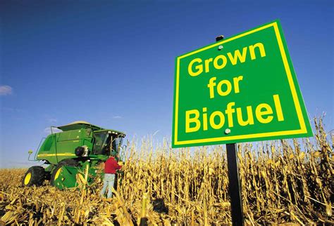 Can you grow biofuel?