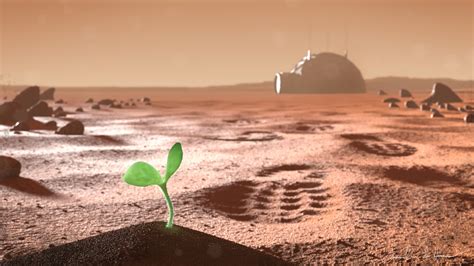 Can you grow plants on Mars?