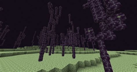 Can you grow trees in the end in Minecraft?