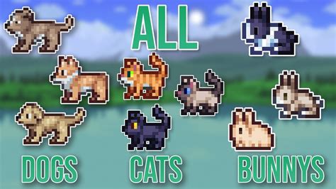 Can you have a dog and a cat in Terraria?