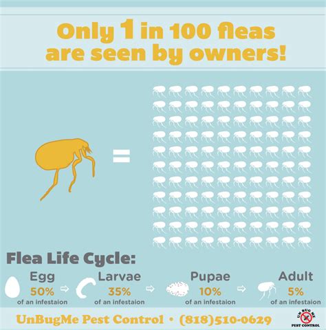 Can you have a phobia of fleas?