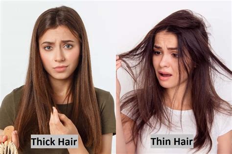 Can you have fine but thick hair?