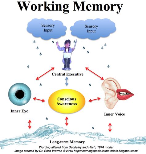 Can you have high IQ but low working memory?