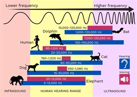 Can you hear 100 Hz?