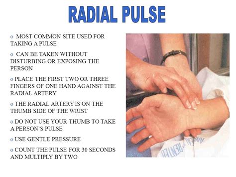 Can you hear radial pulse with stethoscope?