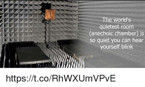 Can you hear yourself in the worlds quietest room?