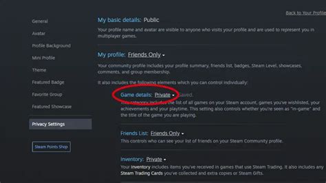 Can you hide what you're playing on Steam from friends?