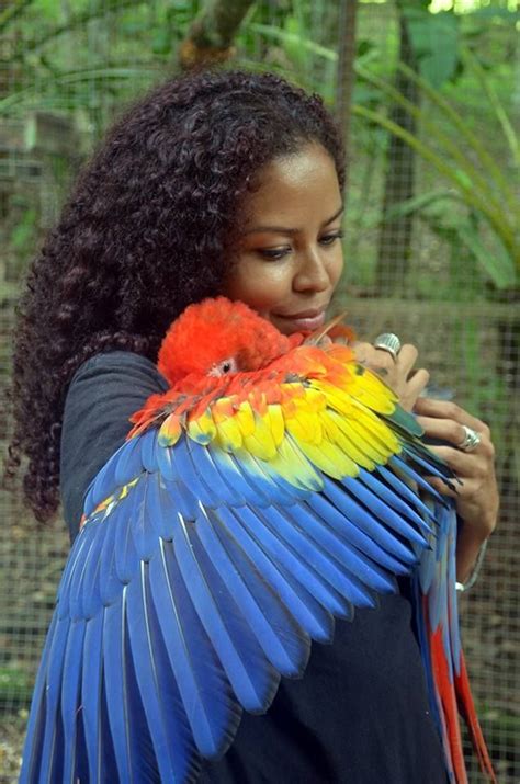 Can you hug a parrot?