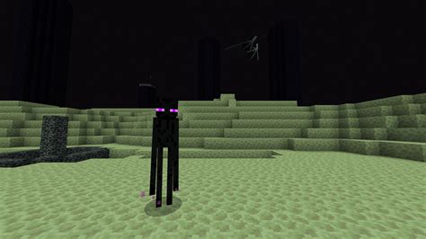 Can you interact with Enderman?