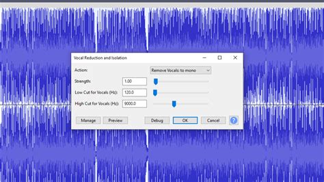 Can you isolate a voice in Audacity?