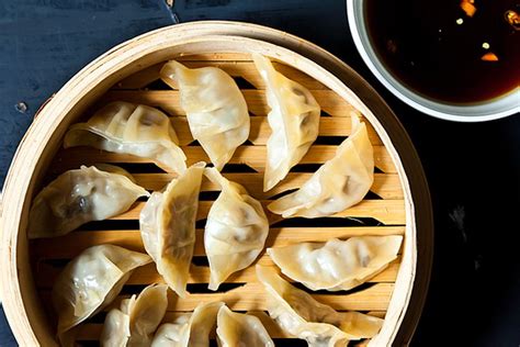 Can you just steam gyoza?