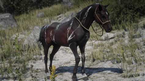 Can you keep a wild horse in rdr2?