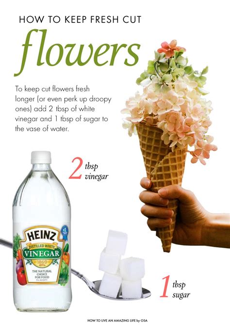 Can you keep flowers in water?