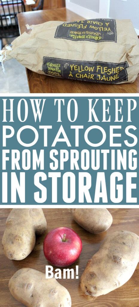 Can you keep potatoes from sprouting?