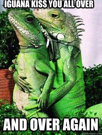 Can you kiss an iguana?