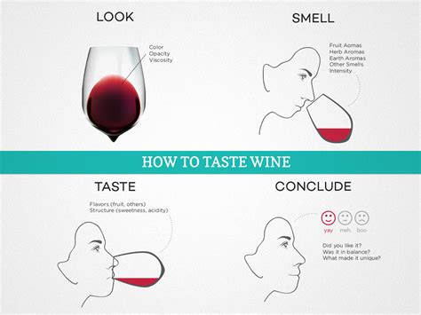 Can you learn to taste wine?
