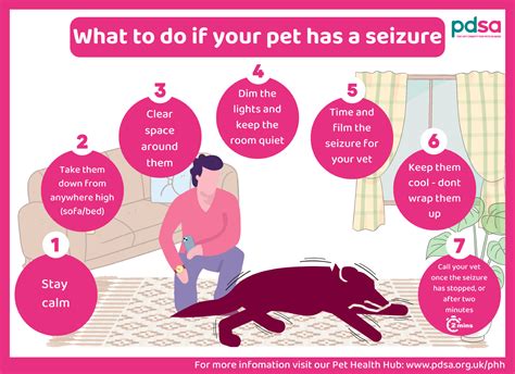 Can you leave a dog with seizures alone?