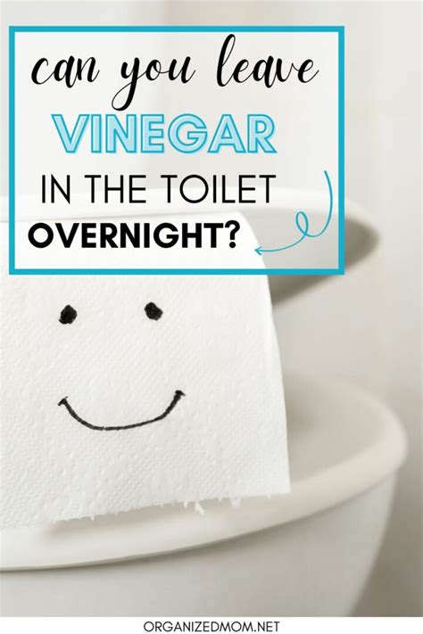 Can you leave vinegar on a stain overnight?