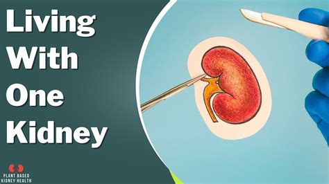 Can you live with 10% kidney function?