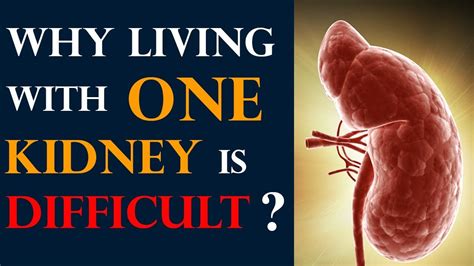 Can you live with 14% kidney function?