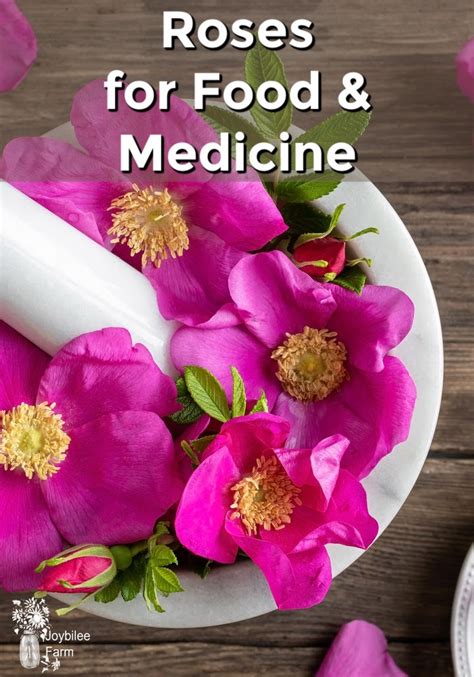 Can you make medicine with roses?