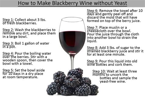 Can you make wine without yeast?