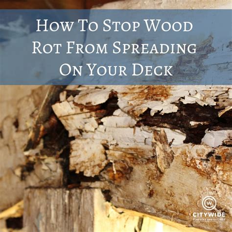 Can you make wood not rot?