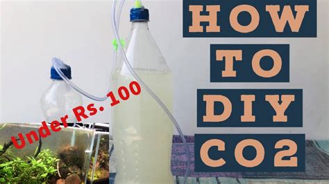 Can you make your own CO2 for aquarium?