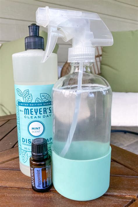 Can you mix peppermint oil with water to spray?