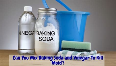 Can you mix vinegar and baking soda for mold?