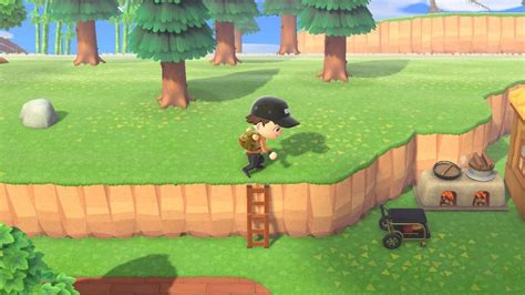 Can you move a ladder in Animal Crossing?