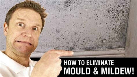Can you paint over mold?