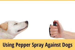 Can you pepper spray a dog chasing you?