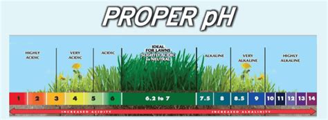 Can you permanently change soil pH?