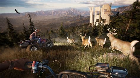 Can you play Far Cry 5 with 4 people?