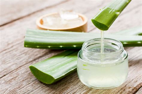 Can you pour aloe vera juice on plants?