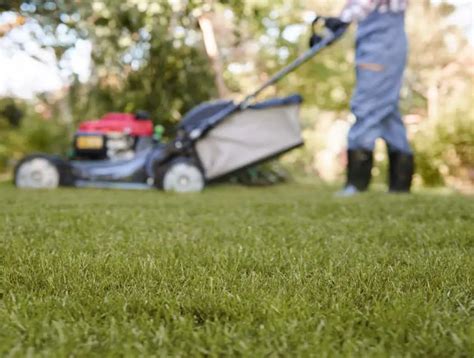 Can you pull a self-propelled lawn mower backwards?