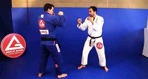 Can you punch in BJJ?