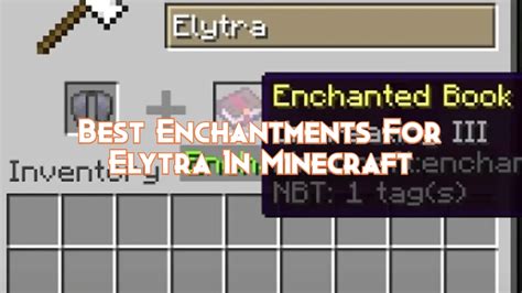 Can you put 2 enchantments on elytra?
